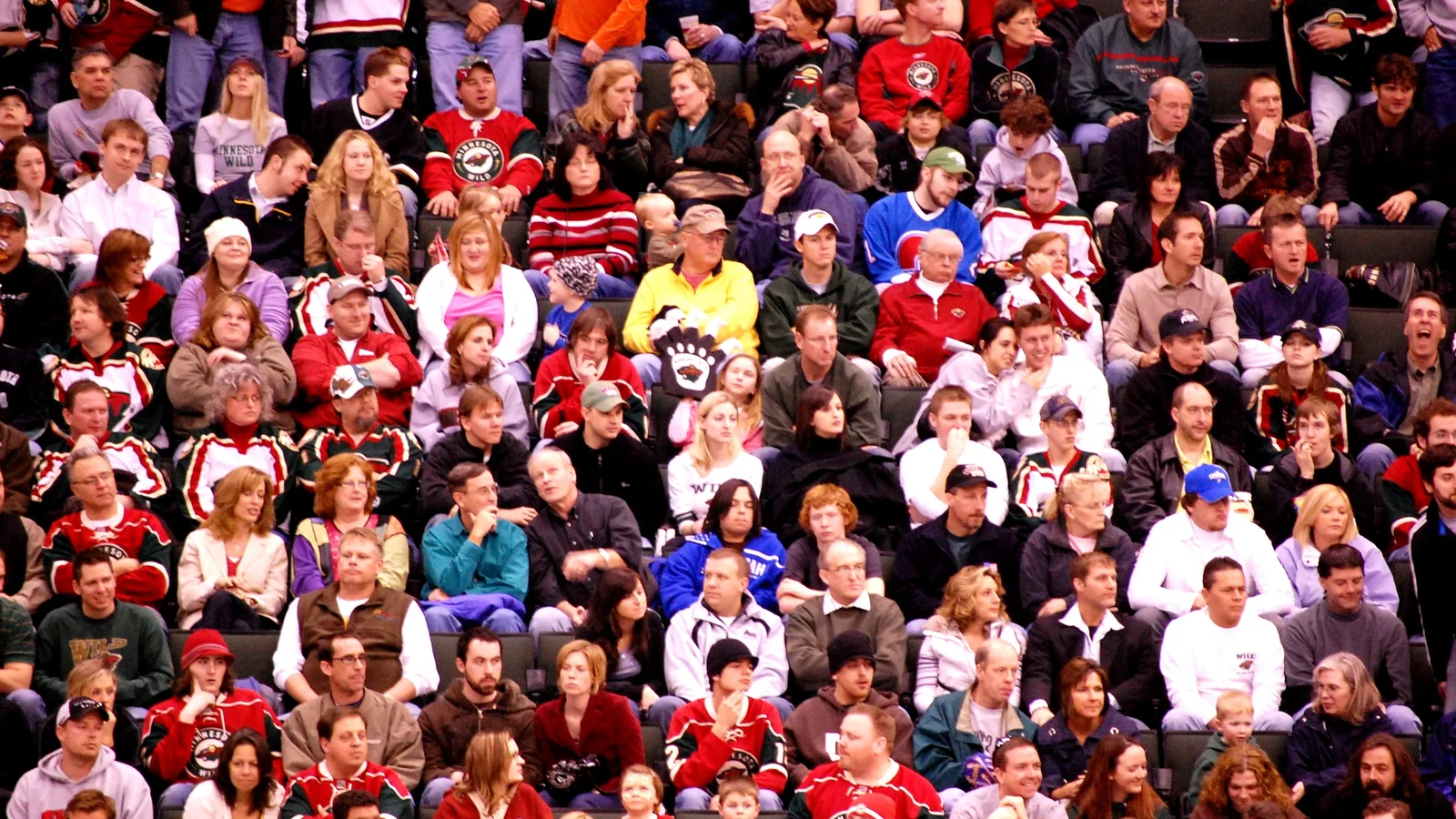 Fans watching an ice hockey game from the arena stands